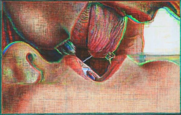 a painting of a couple kissing passionately by stefania pinsone