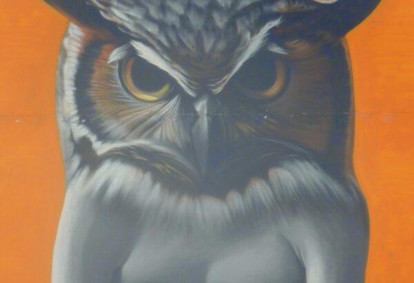 picture of a male body with an owl's head on an orange background