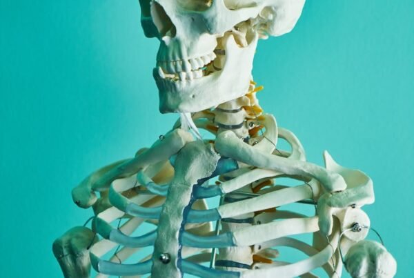 photo of skeleton