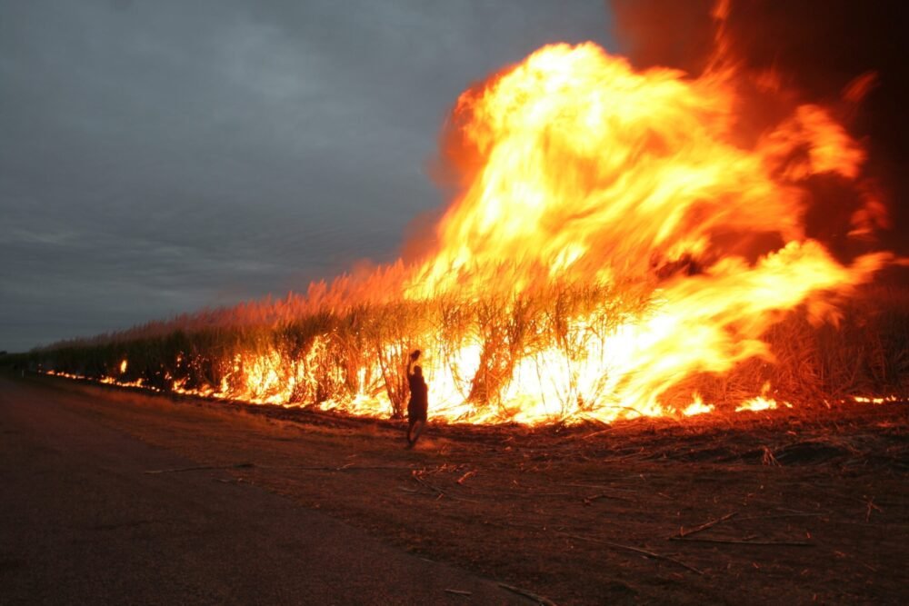 cane fire in australia