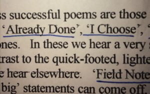 Summary by poety Jeffrey Wainwright on the work of Skendong