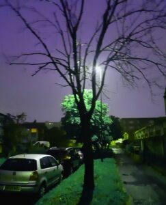 Dead Tree Sleeping by Skendong