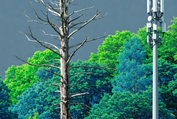 A high-contrast image depicts a dead tree next to vibrant green trees, with a 5G pole nearby, suggesting themes of resilience and the impact of technology.