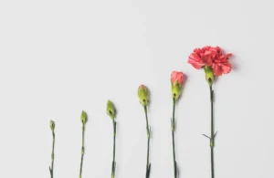 Photo by Edward Howell on Unsplash